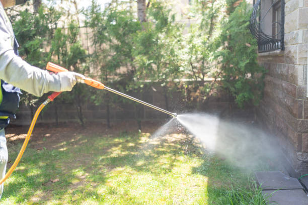 Best Affordable Pest Control Services  in Dillonvale, OH