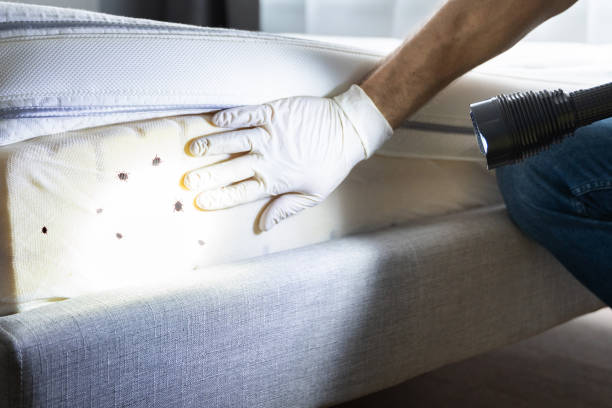 Best Exterminator Services  in Dillonvale, OH