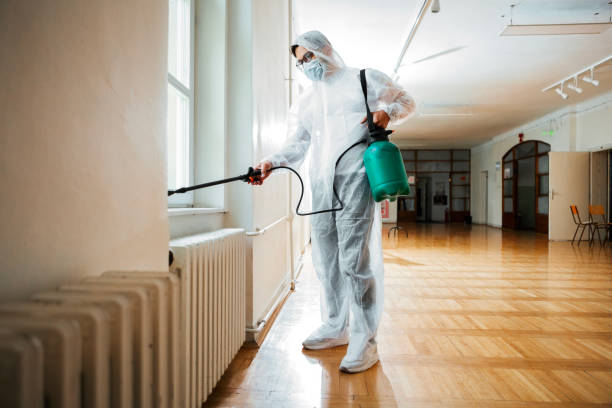Best Residential Pest Control  in Dillonvale, OH